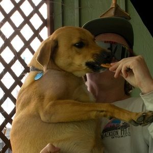 Meet your Posher, Sam